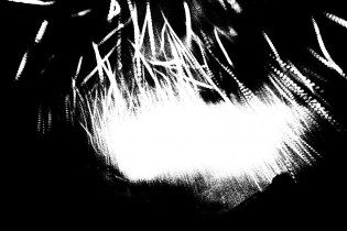 002 002