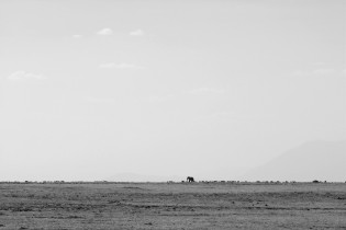 024 024