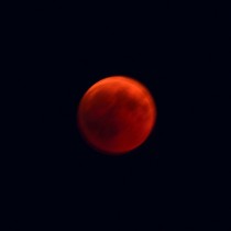 15 85D7501 Blutmond 15 85D7501 Blutmond