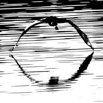 017 017