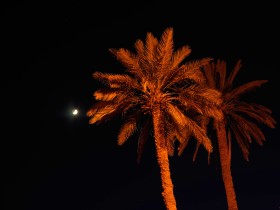 14 A a 301 53645 14 A a 301 53645